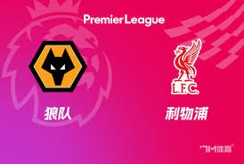 乌兹别克斯坦历史性参加世界杯 卡纳瓦罗领衔球队